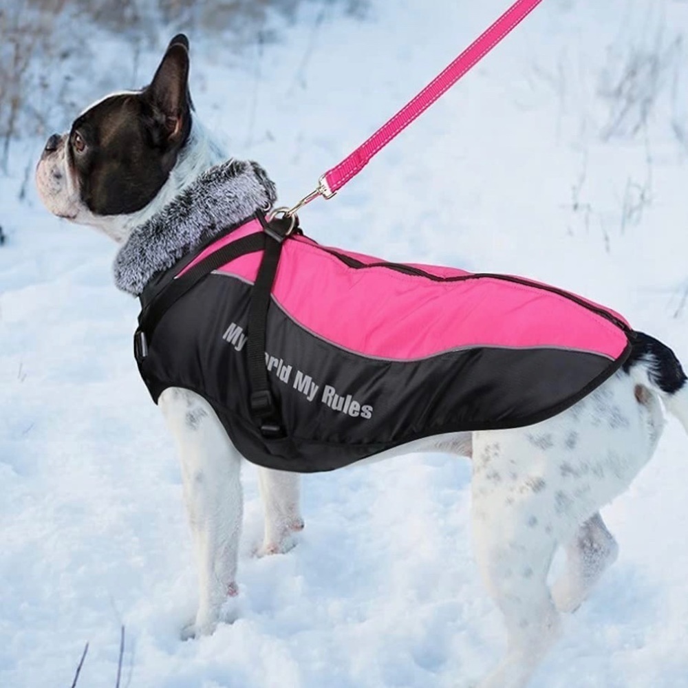 WINDPROOF REFLECTIVE WINTER DOG JACKET Removable Safety Harness Windproof Snow